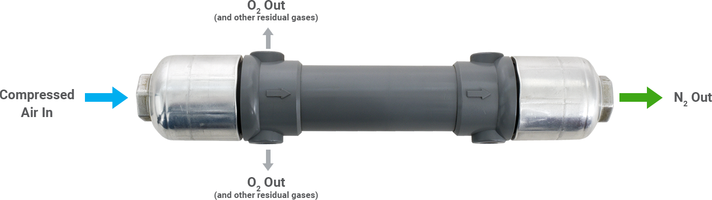 membrane-image-1